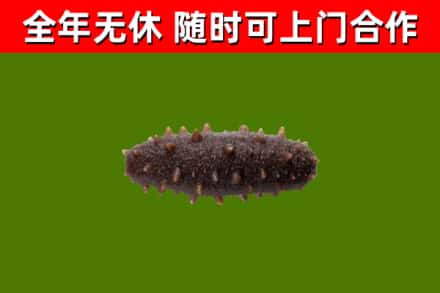 万安县烟酒回收干海参.jpg